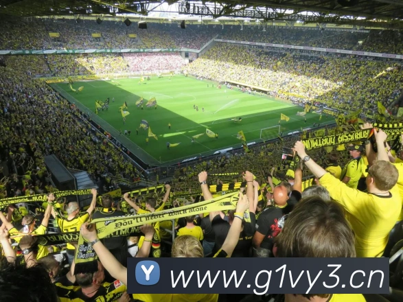 易倍emc官方品牌故事